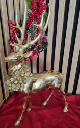 Viano�n� Jele�