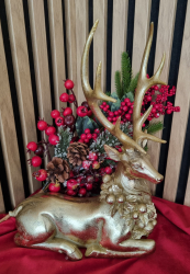 Viano�n� Jele� le�iaci