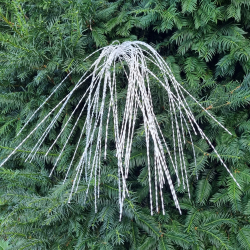 Viano�n� zapich biely