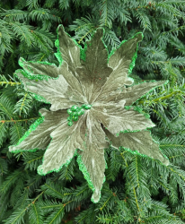 Viano�n� Ru�a zelen�