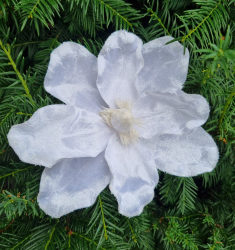 Viano�n� ru�a biela