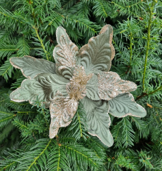 Viano�n� Ru�a zelenkav�