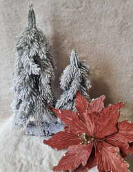 Zasne�en� strom�eky