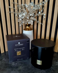 Vonn svieka Atmosfera