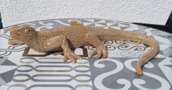 Dekor�cia Ja�terica