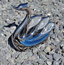 Labu� strieborn�